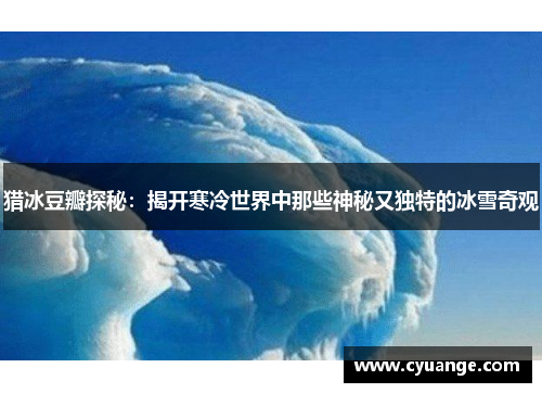 猎冰豆瓣探秘：揭开寒冷世界中那些神秘又独特的冰雪奇观